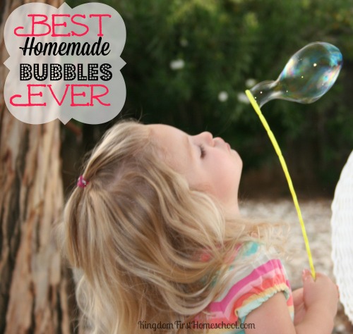 Best Homemade Bubbles 