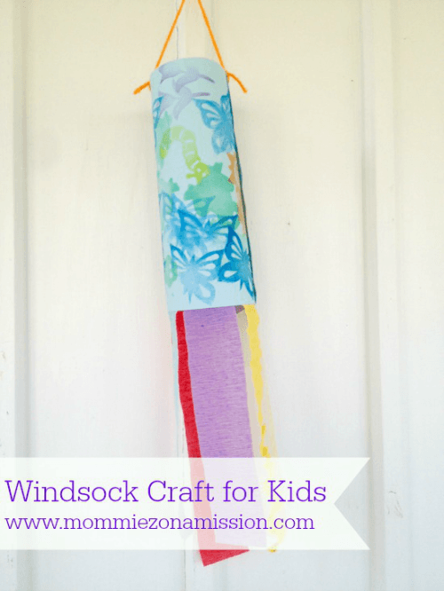 windsock craft