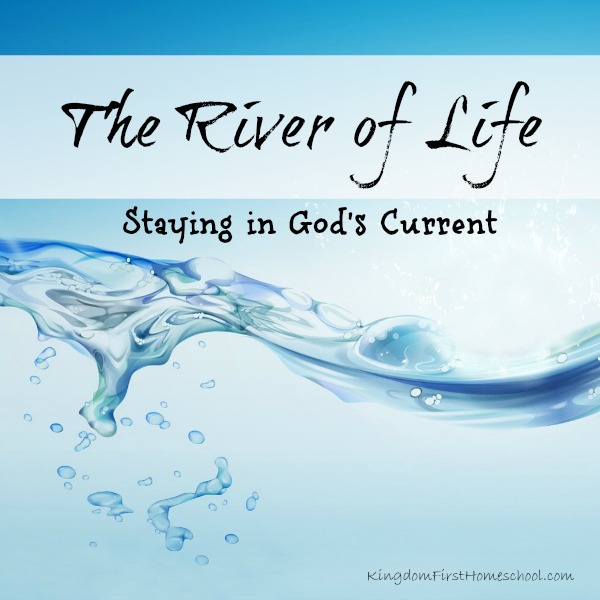 The River of Life-Staying in God's Flow