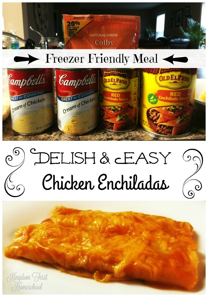 Delish and Easy Chicken Enchiladas a freezer friendly meal