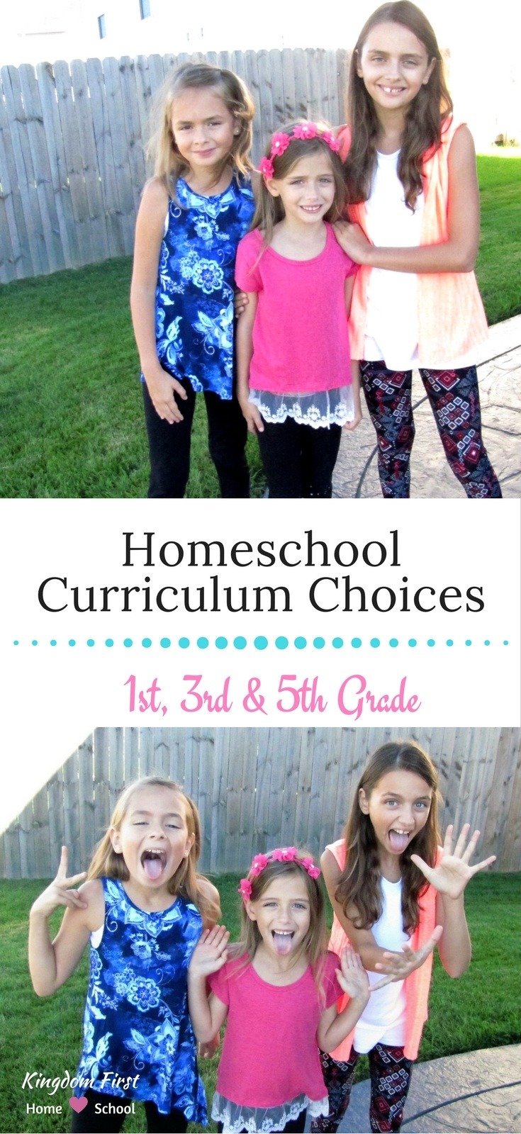 Homeschool curriculum choices for 1st, 3rd and 5th grade.