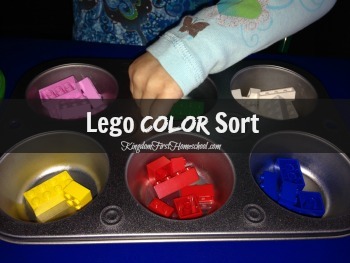 Lego Color Sort Preschool Activity