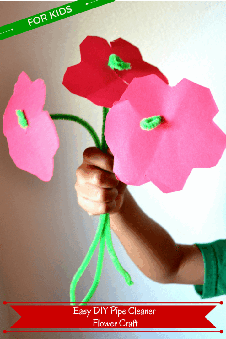 DIY Pipe Cleaner Flower Craft