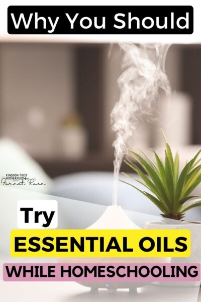 Essential Oils are known to have many health benefits, from mood to overall healing properties. Check out this great list of essential oils for homeschooling.