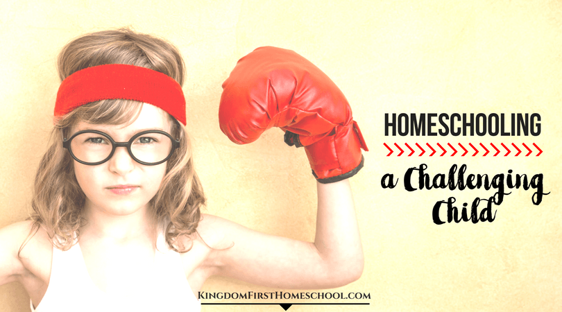 Tips for Homeschooling a challenging child