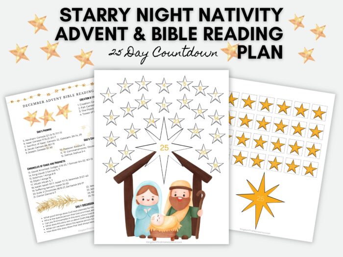 Starry Night Nativity Advent and Bible Reading Plan