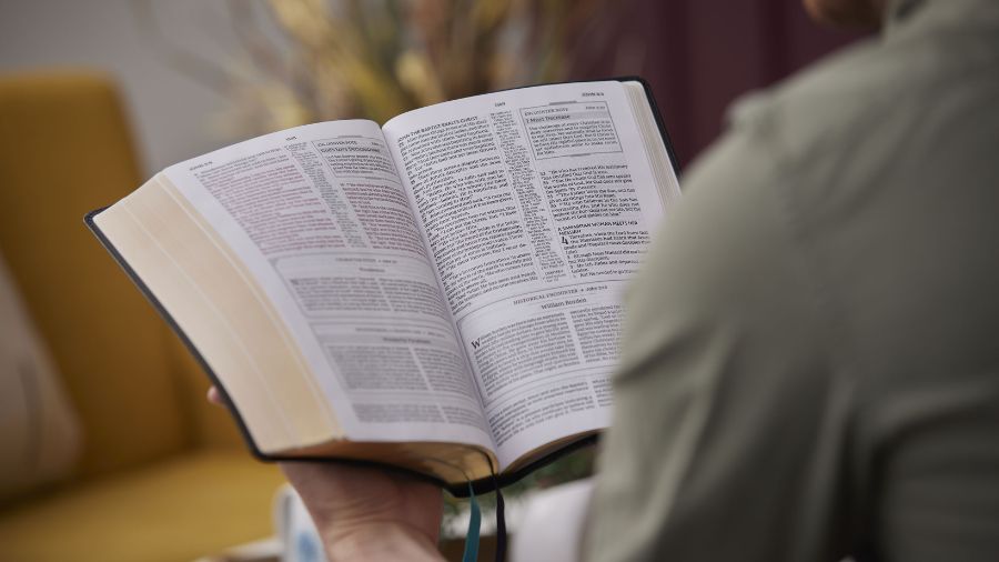 Person reading a Bible