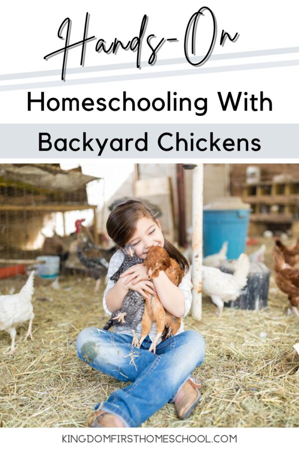 Homeschooling with backyard chickens