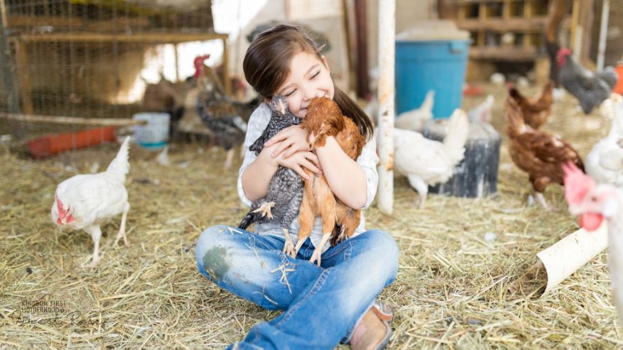 Little girl hugging backyard chickens