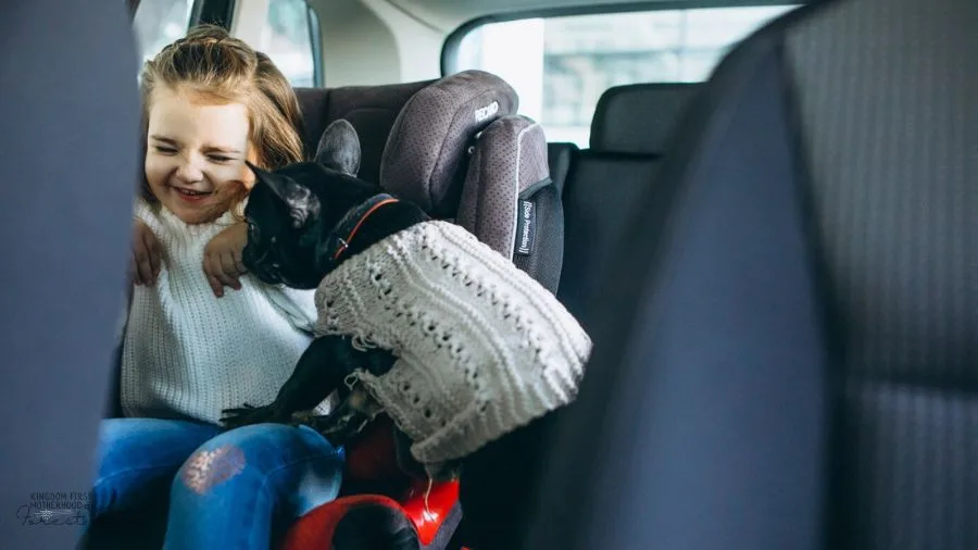 girl in car seat with dog in sweater