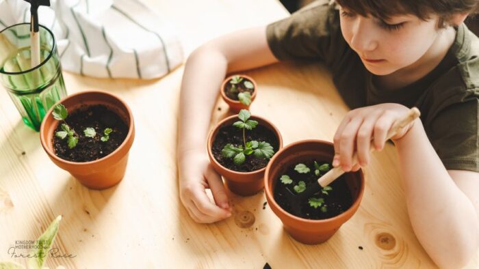 young boy planting plants